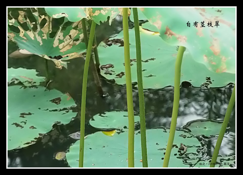 ������������������
