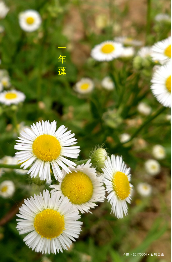漫游灵山一圈
