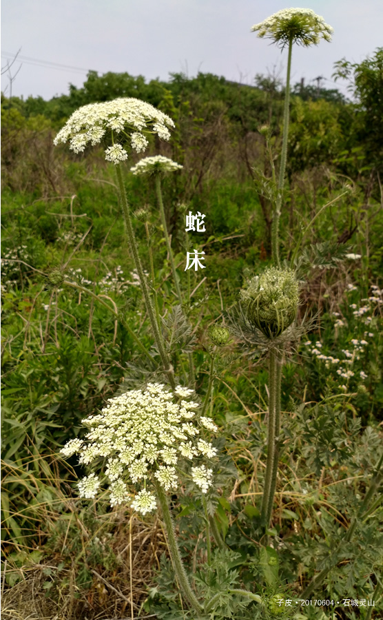 漫游灵山一圈
