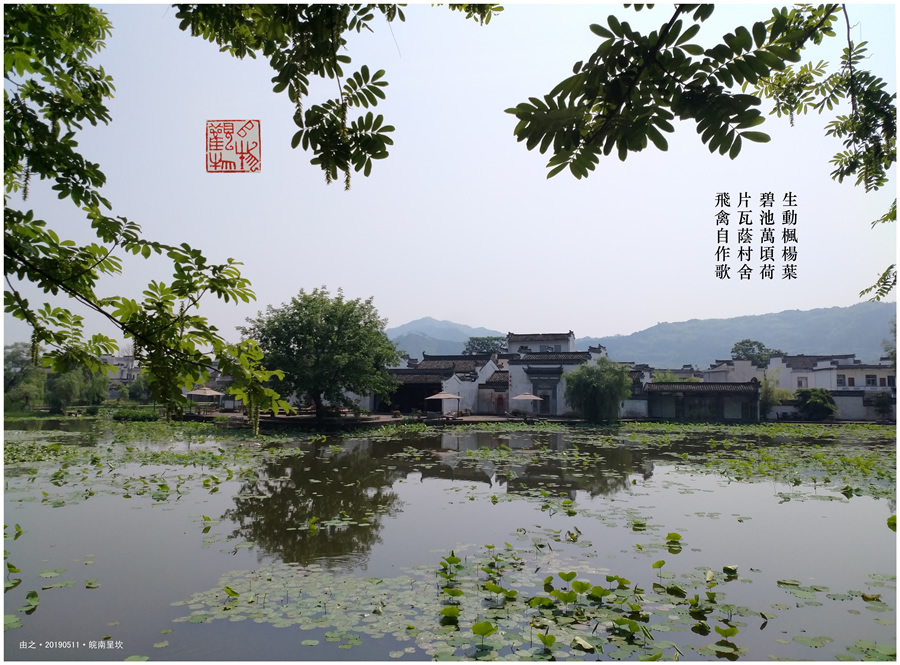 190318-食物中毒?0511-12:休宁呈坎二日游